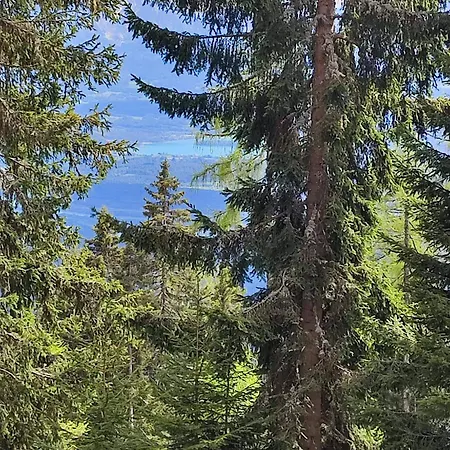 Hébergement de vacances Schalale *